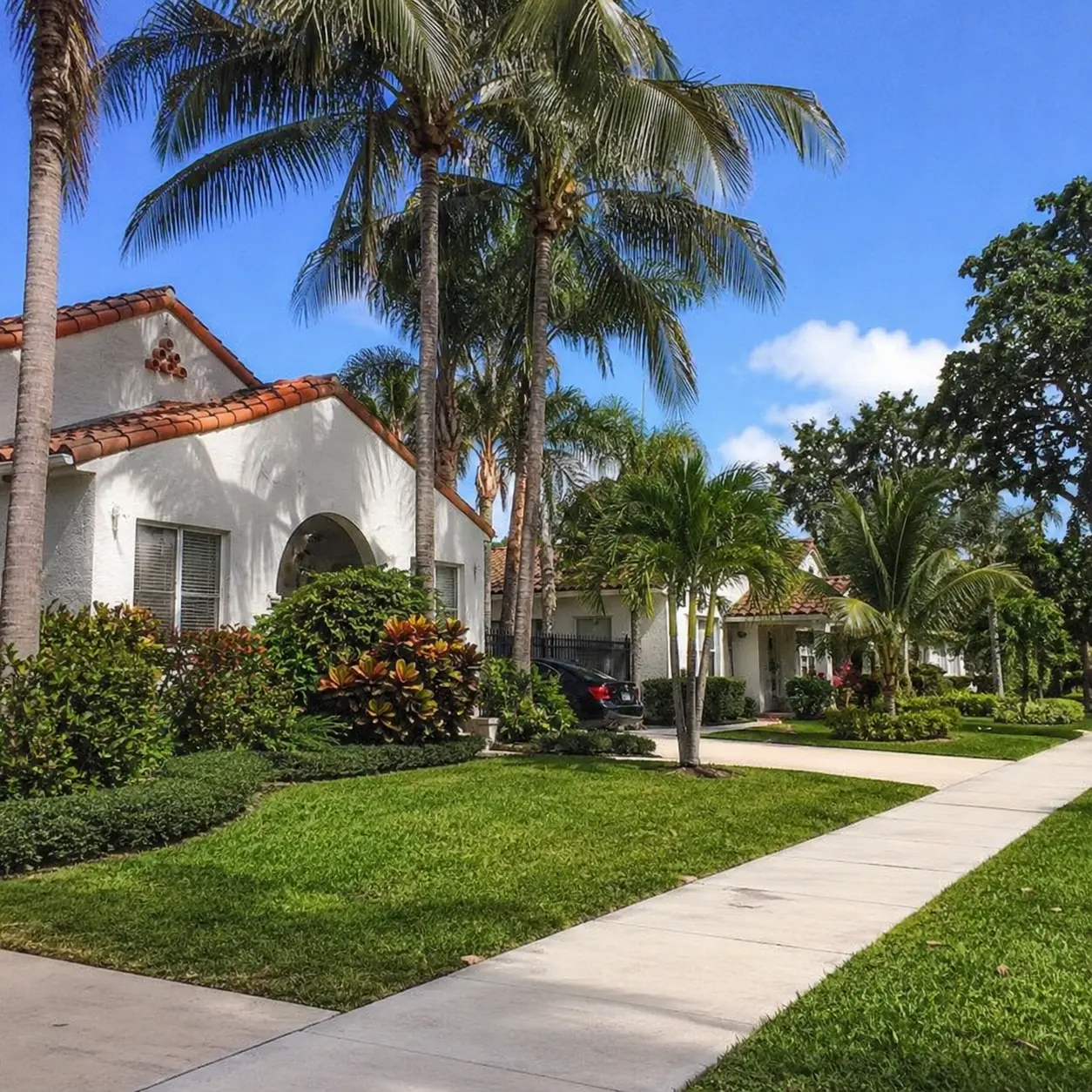 Street in Flamingo Park, WEST Palm Beach, fl featuring single family homes and palm trees
