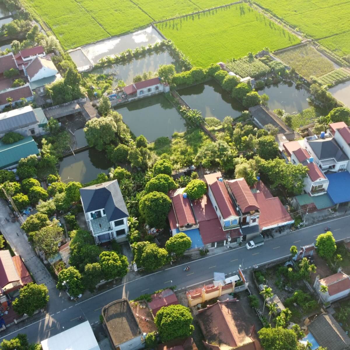 erial view of homes and fish ponds in Lake Ida, Delray Beach