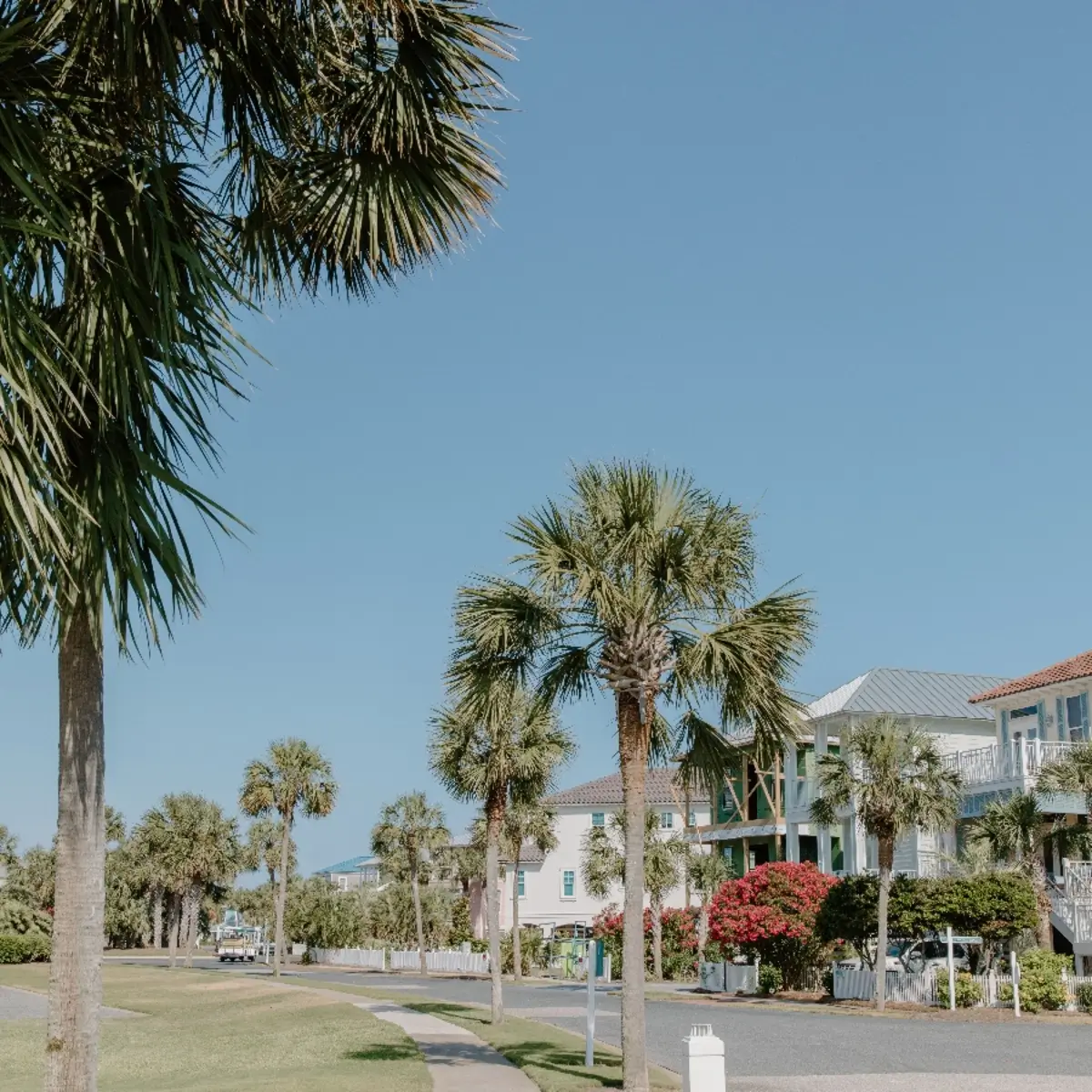 Palm-lined residential street with single-family homes in Pennbrooke Fairways, Leesburg